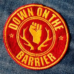 Pochette de Down on the Barrier de Skinny Lister