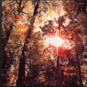 Pochette de Sätt att se de Dungen