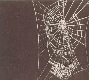 Pochette de Spider Heaven de Mutual Benefit