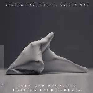 Pochette de Open End Resource (Leaving Laurel remix) de Andrew Bayer