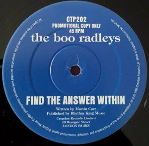 Pochette Find the Answer Within