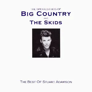 Pochette The Greatest Hits of Big Country and the Skids
