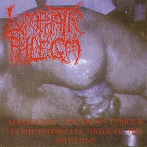 Pochette de Malignant Cancerous Tumour in the Epithelial Tissue of the Intestine / From Rotten Process... To Splatter de Lymphatic Phlegm