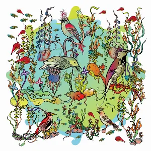 Pochette de O'o de John Zorn