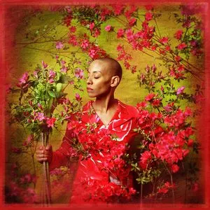 Pochette de I Used to Be… de Gail Ann Dorsey