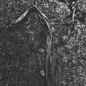 Pochette de morph de KMRU