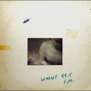 Pochette de Violets de Loren Mazzacane Connors