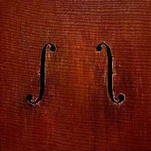 Pochette de VIOLINIST de Leellamarz