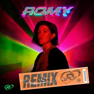 Pochette de Did I (Peaches Remix) de Romy