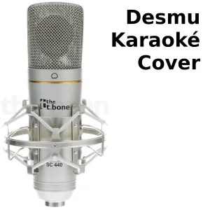 Pochette de Desmu Karaoké Cover de Desmu