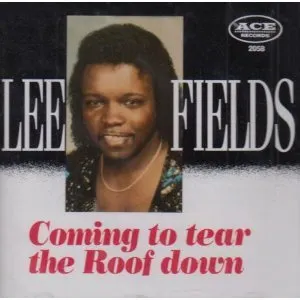 Pochette de Coming to Tear the Roof Down de Lee Fields