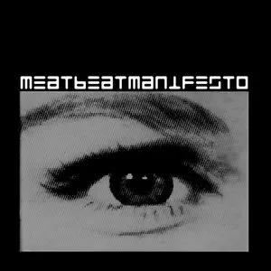 Pochette Fans Who Are Musicians [Meat Beat Manifesto Remix Project]