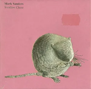 Pochette de Swallow Chase de Mark Sanders