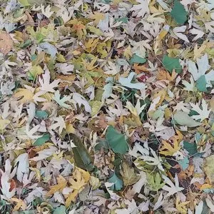 Pochette de Static Flood de Kevin Drumm