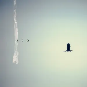 Pochette de piano01 oto de Chouchou