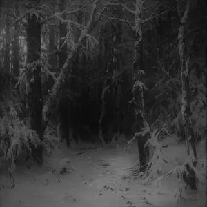 Pochette de Wanderings Within Forests of Despondency de Hiemal