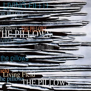 Pochette de LIVING FIELD de the pillows