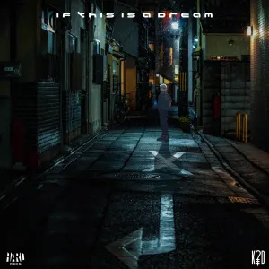 Pochette de IF THIS IS A DREAM de k?d