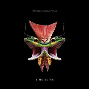 Pochette de Time Being de Tony Buck
