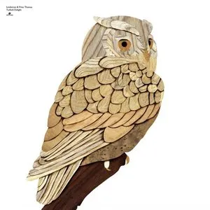 Pochette de Turkish Delight de Prins Thomas - Lindstrøm