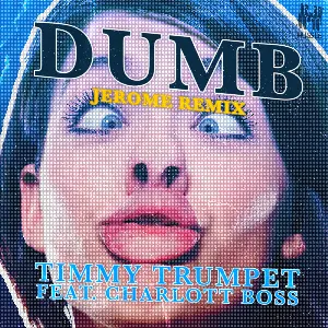 Pochette de Dumb (Jerome remix) de Timmy Trumpet
