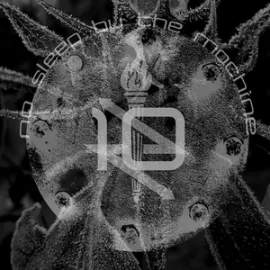 Pochette de 10 de No Sleep by the Machine