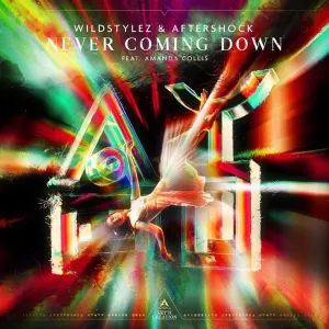 Pochette de Never Coming Down de Wildstylez