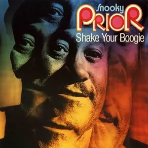 Pochette Shake Your Boogie