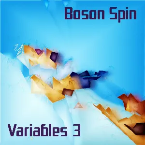 Pochette de Variables 3 de Boson Spin