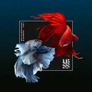 Pochette de SSXUB de The Upbeats