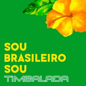 Pochette de Sou Brasileiro Sou de Timbalada