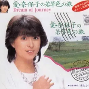 Pochette de 愛・奈保子の若草色の旅 de Naoko Kawai