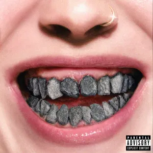 Pochette de TROLL de Elliphant