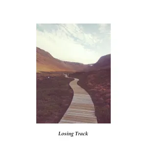 Pochette de Losing Track de Omnis