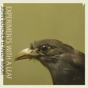 Pochette de Experiments with a Leaf de John Butcher