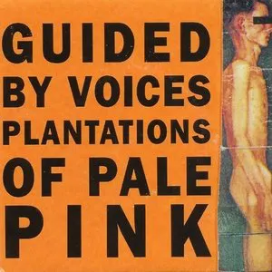 Pochette Plantations of Pale Pink