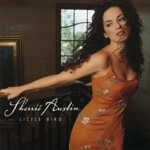 Pochette de Little Bird de Sherrié Austin