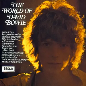Pochette The World of David Bowie