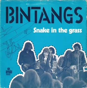 Pochette de Snake in the Grass / Floating de Bintangs