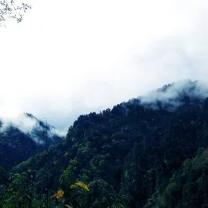 Pochette de Void XV de Chihei Hatakeyama