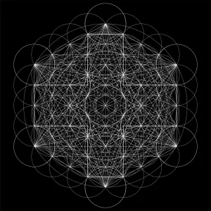 Pochette de star de 2hollis