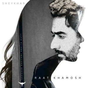 Pochette de Raat Khamosh de Shekhar Ravjiani