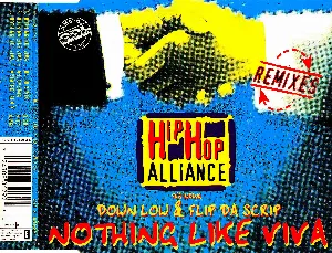 Pochette de Nothing Like Viva (Remixes) de Down Low