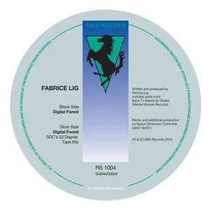 Pochette de DIGITAL FOREST de Fabrice Lig
