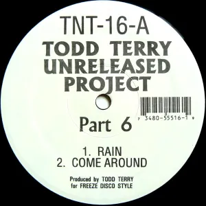 Pochette de Unreleased Project Part 6 de Todd Terry