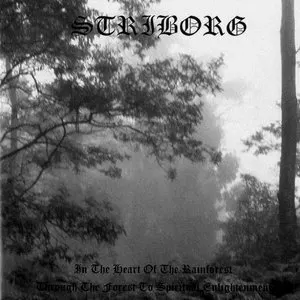 Pochette de In the Heart of the Rain Forest / Through the Forest to Spiritual Enlightenment de Striborg