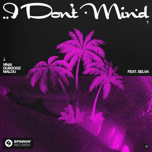 Pochette de I Don’t Mind de Dubdogz - VINAI