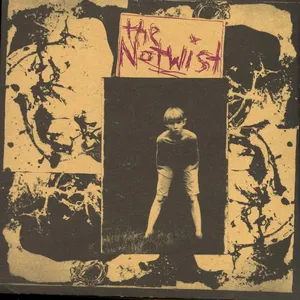 Pochette de The Notwist de The Notwist