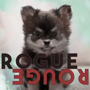 Pochette de Rogue Rouge de Amber Liu