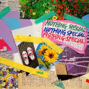 Pochette de NOTHING SPECIAL de SBGB